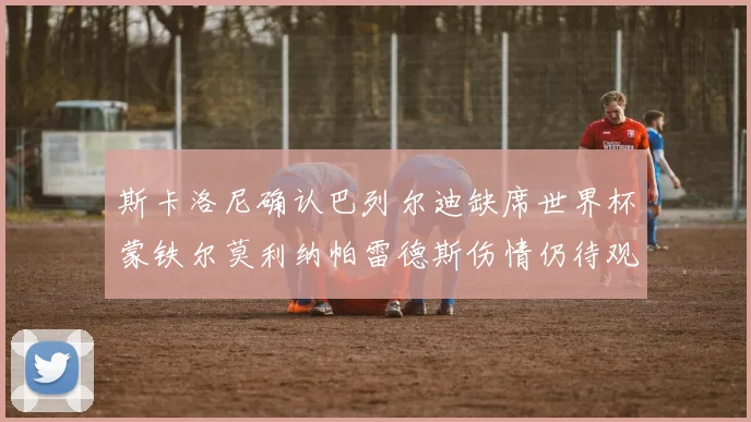 斯卡洛尼确认巴列尔迪缺席世界杯蒙铁尔莫利纳帕雷德斯伤情仍待观察