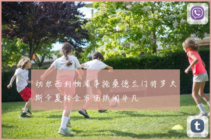 切尔西利物浦争抢桑德兰门将罗夫斯今夏转会市场热闹非凡